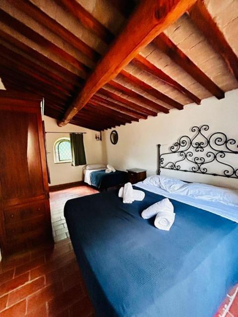 Agriturismo La Fontanella & Glamping Suvereto Luaran gambar