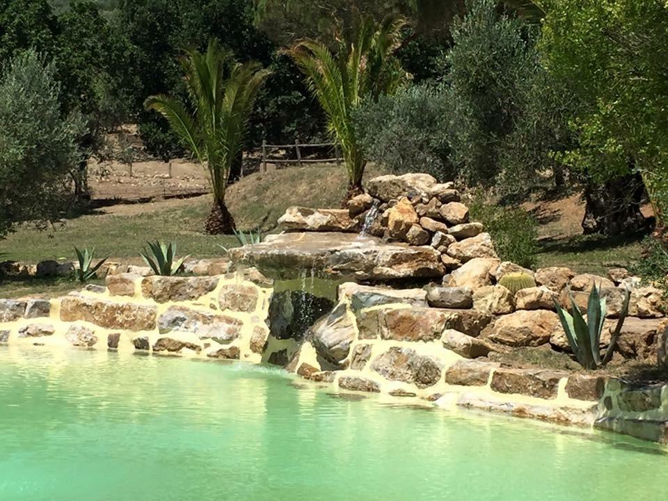 Agriturismo La Fontanella & Glamping Suvereto Luaran gambar