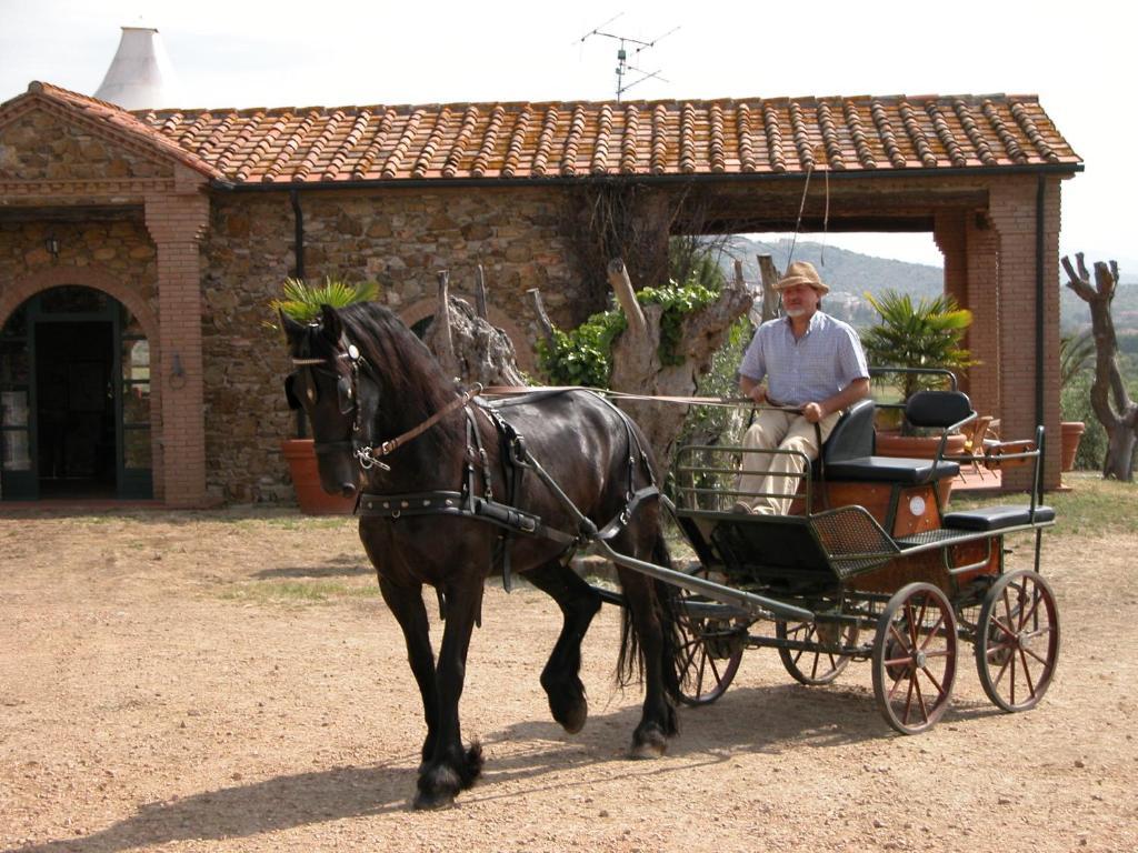 Agriturismo La Fontanella & Glamping Suvereto Luaran gambar